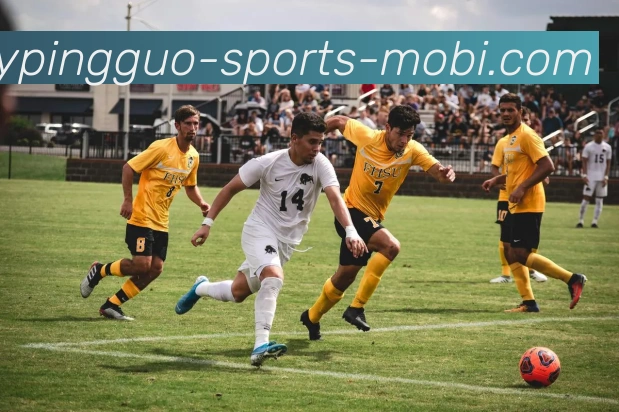 开元棋牌平台生态图